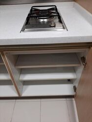 Residences @ Evelyn (D11), Condominium #437993881